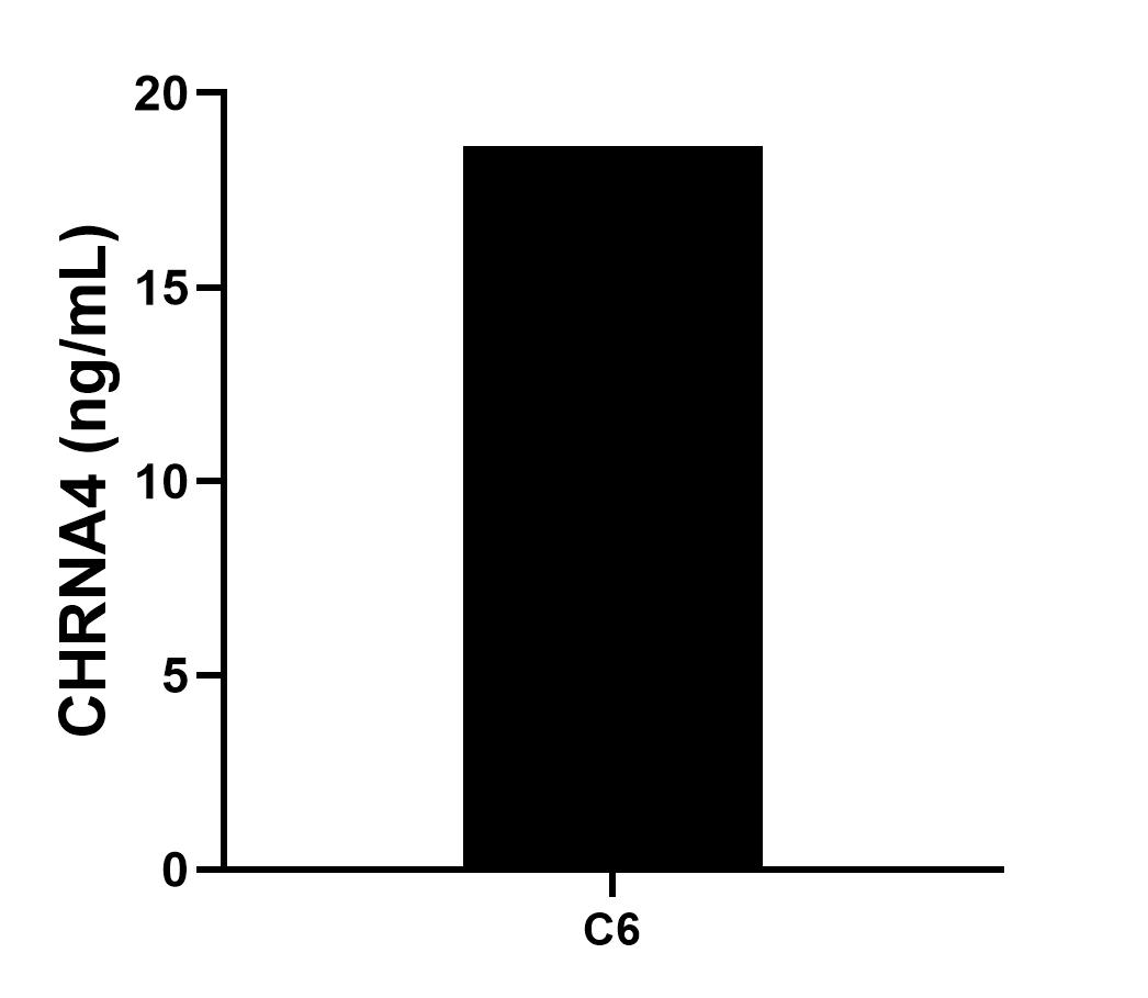 The mean CHRNA4 concentration was determined to be 18.6 ng/mL in C6 cell extract based on a 4.9 mg/mL extract load.